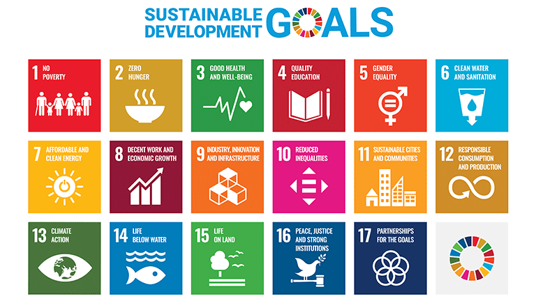 Sustainable Development Goals (SDGs)